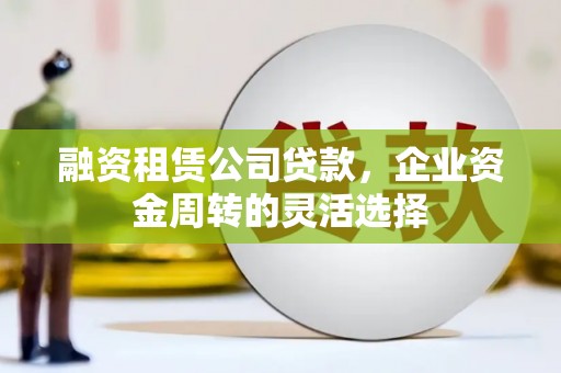 狮潭融资租赁公司贷款，企业资金周转的灵活选择
