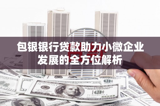 狮潭包银银行贷款助力小微企业发展的全方位解析