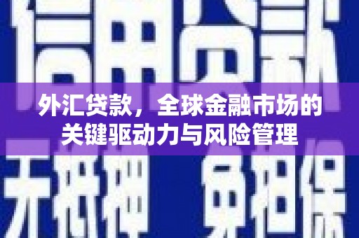 狮潭外汇贷款，全球金融市场的关键驱动力与风险管理