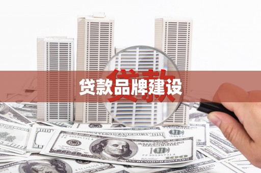 狮潭贷款品牌建设