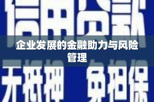 狮潭企业发展的金融助力与风险管理