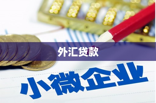 狮潭外汇贷款