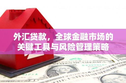 狮潭外汇贷款，全球金融市场的关键工具与风险管理策略