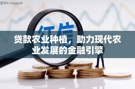 狮潭贷款农业种植，助力现代农业发展的金融引擎
