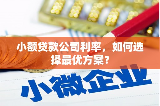 狮潭小额贷款公司利率，如何选择最优方案？