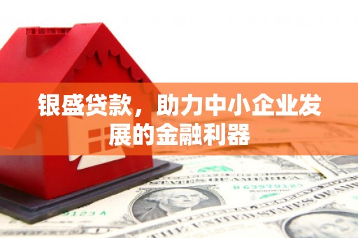 狮潭银盛贷款，助力中小企业发展的金融利器