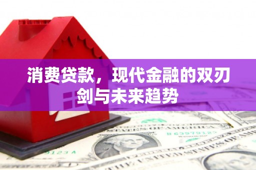 狮潭消费贷款，现代金融的双刃剑与未来趋势