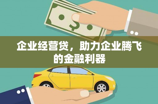 狮潭企业经营贷，助力企业腾飞的金融利器