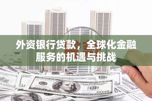狮潭外资银行贷款，全球化金融服务的机遇与挑战