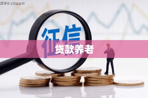 狮潭贷款养老