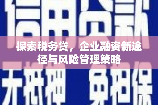 狮潭探索税务贷，企业融资新途径与风险管理策略