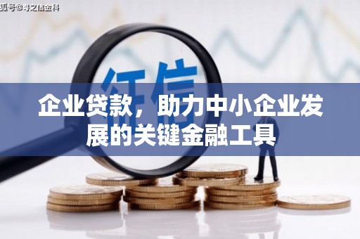 狮潭企业贷款，助力中小企业发展的关键金融工具
