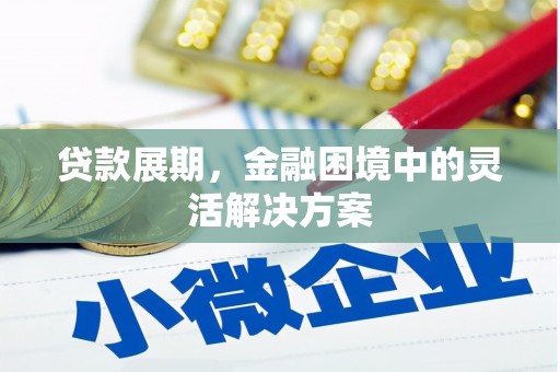狮潭贷款展期，金融困境中的灵活解决方案