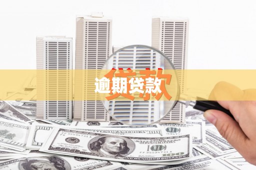 狮潭逾期贷款