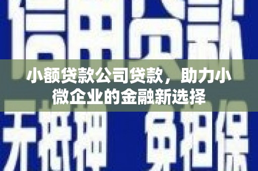 狮潭小额贷款公司贷款，助力小微企业的金融新选择