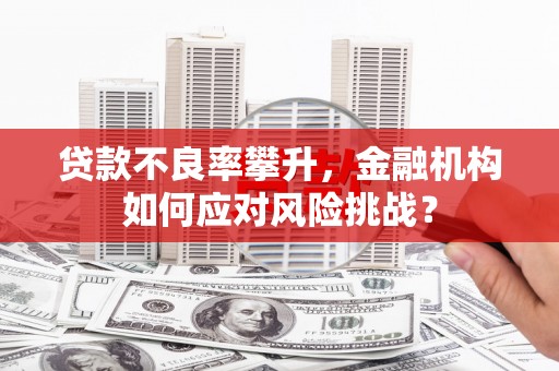 狮潭贷款不良率攀升，金融机构如何应对风险挑战？