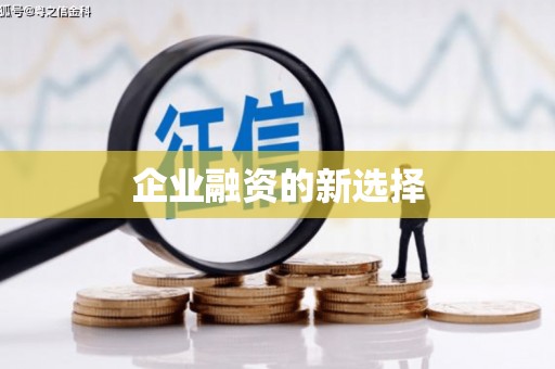 狮潭企业融资的新选择
