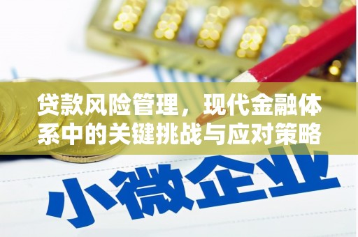 狮潭贷款风险管理，现代金融体系中的关键挑战与应对策略