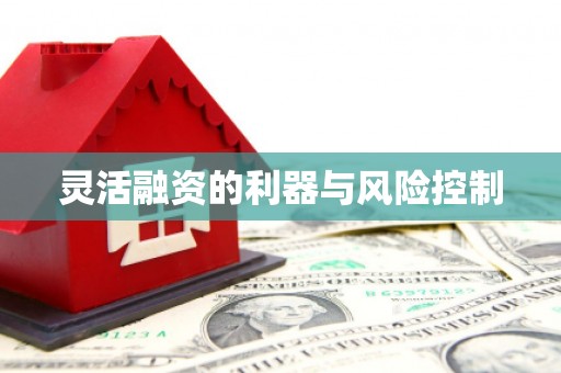 狮潭灵活融资的利器与风险控制
