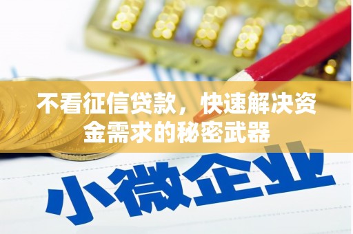 狮潭不看征信贷款，快速解决资金需求的秘密武器