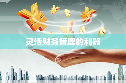 狮潭灵活财务管理的利器