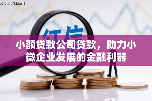 狮潭小额贷款公司贷款，助力小微企业发展的金融利器