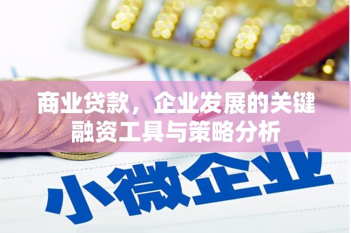 狮潭商业贷款，企业发展的关键融资工具与策略分析