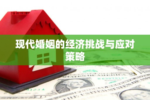 狮潭现代婚姻的经济挑战与应对策略