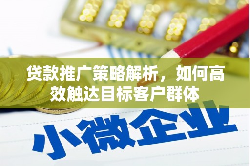 狮潭贷款推广策略解析，如何高效触达目标客户群体