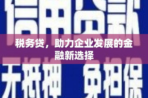狮潭税务贷，助力企业发展的金融新选择