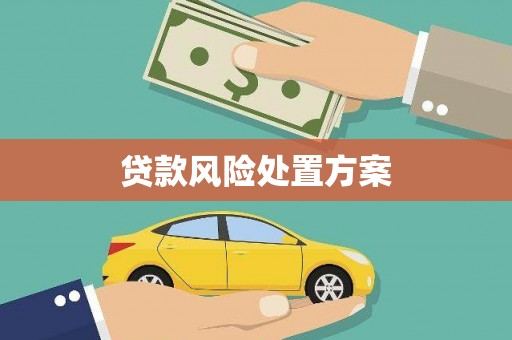 狮潭贷款风险处置方案