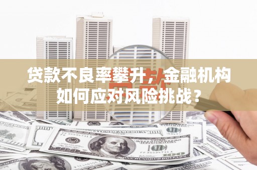 狮潭贷款不良率攀升，金融机构如何应对风险挑战？