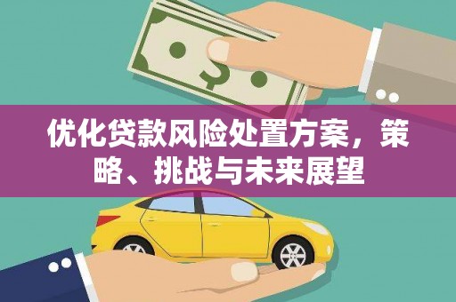 狮潭优化贷款风险处置方案，策略、挑战与未来展望