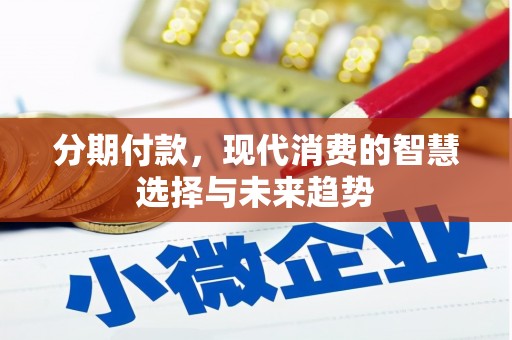 狮潭分期付款，现代消费的智慧选择与未来趋势