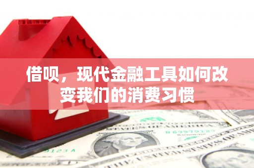 狮潭借呗，现代金融工具如何改变我们的消费习惯