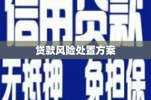 狮潭贷款风险处置方案