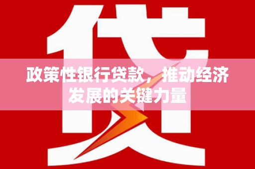 狮潭政策性银行贷款，推动经济发展的关键力量