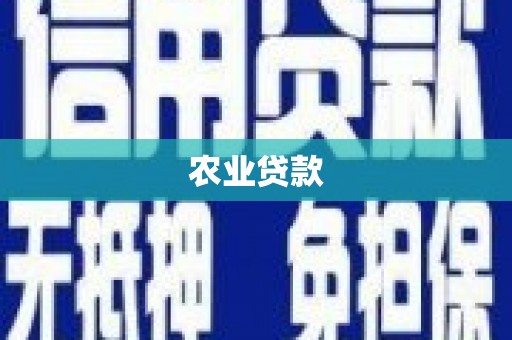 狮潭农业贷款