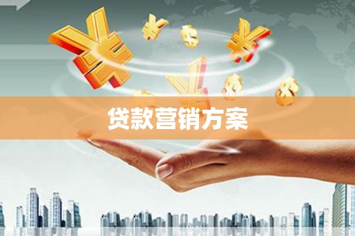 狮潭贷款营销方案