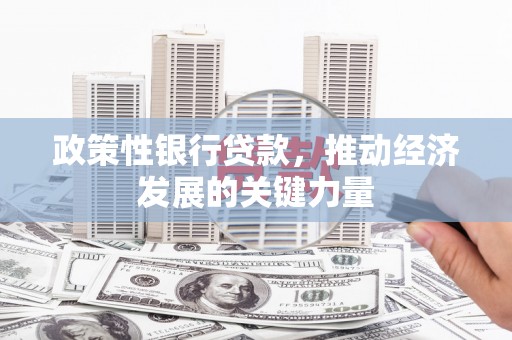 狮潭政策性银行贷款，推动经济发展的关键力量