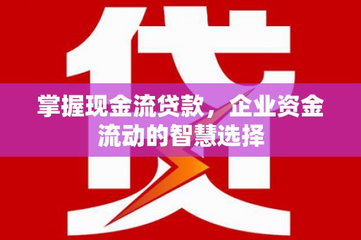 狮潭掌握现金流贷款，企业资金流动的智慧选择