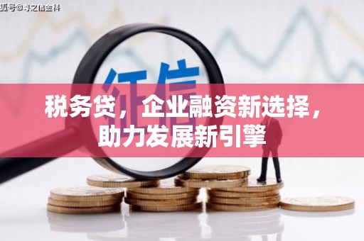 狮潭税务贷，企业融资新选择，助力发展新引擎
