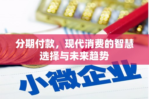 狮潭分期付款，现代消费的智慧选择与未来趋势