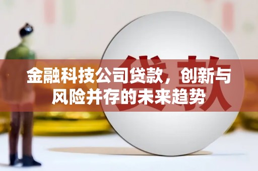 狮潭金融科技公司贷款，创新与风险并存的未来趋势