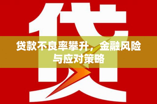 狮潭贷款不良率攀升，金融风险与应对策略