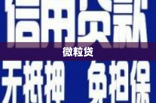 狮潭微粒贷