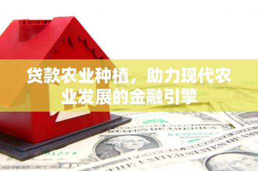 狮潭贷款农业种植，助力现代农业发展的金融引擎