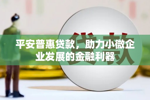 狮潭平安普惠贷款，助力小微企业发展的金融利器