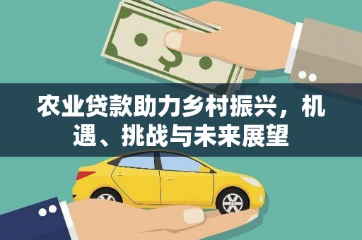 狮潭农业贷款助力乡村振兴，机遇、挑战与未来展望