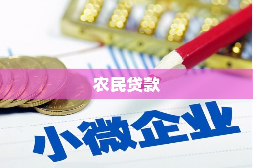 狮潭农民贷款